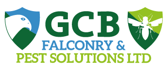 GCB Ltd Logo