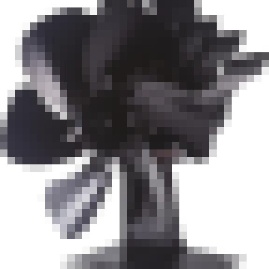 My Stove Fan 2