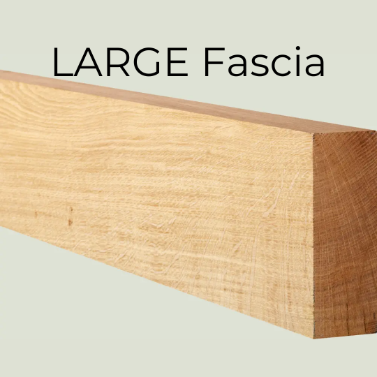 Large Fascia