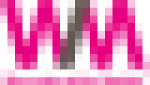 WM v2